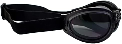 2 para ptičjih naočala papiga crni presavijeni naočale s motociklima bistre i dimne leće za muškarce i žene