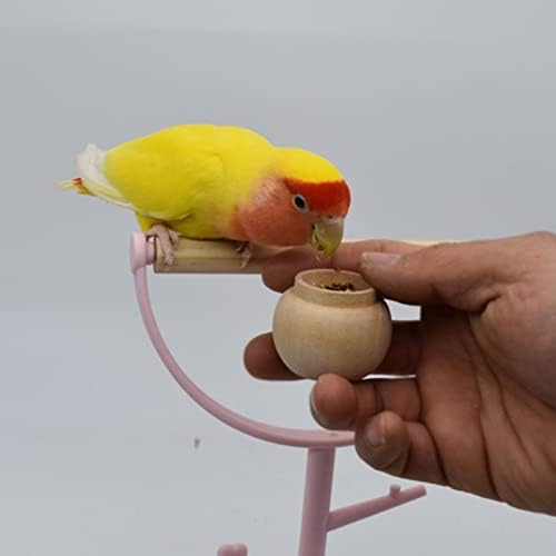 Grotera Slatka mala ptičja ptica Ptičje igranje stajališta papagaj playstand prijenosne igračke za ptice za ptice za kokateels Conures