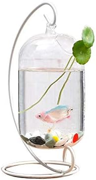 ; Mini stolni prozirni stakleni akvarij za ribe kreativni ukras kućnog ureda mali akvarij za zlatne ribice