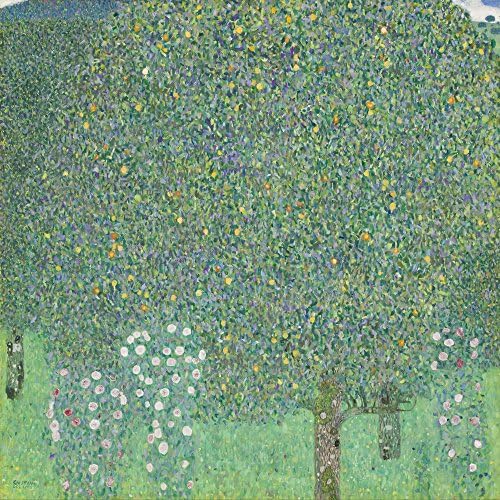 Berkin Arts Gustav Klimt Giclee Print na platno-poznatim slikama likovna umjetnost plakat-reprodukcija zidni dekor Velika veličina