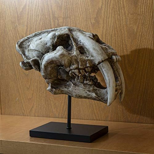 Pacifički darovni pribor Prehistoric Animals Replika dinosauri sabertooth kostur lubanja fossli figurice dugih zuba smola