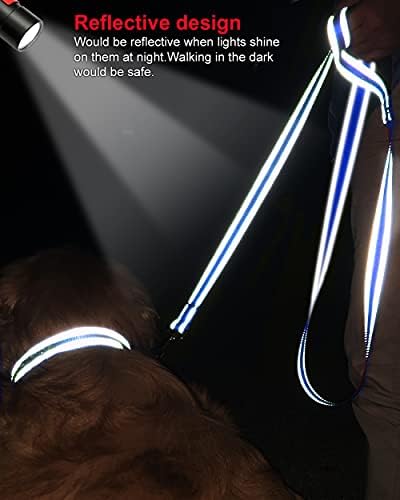 Joytale 16-24 '' Ovratnik za pse i 6ft dvostrani reflektirajući uzice, osvjetljavanje punjive noćne sigurnosti za hodanje za kućne