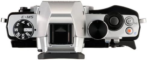 Digitalni fotoaparat bez zrcala, 16 MP, 1,0-inčni, 3,0-inčni zaslon osjetljiv na dodir, [samo tijelo] srebrne boje