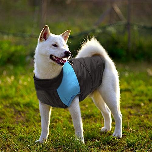 Velika pseća odjeća zimska jakna za pseću odjeću najlon sportski kaput za mali srednji veliki pas labrador plava 1 xxl